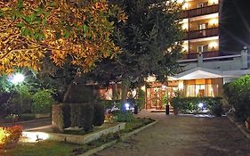 Pinewood Hotel Rome Italy